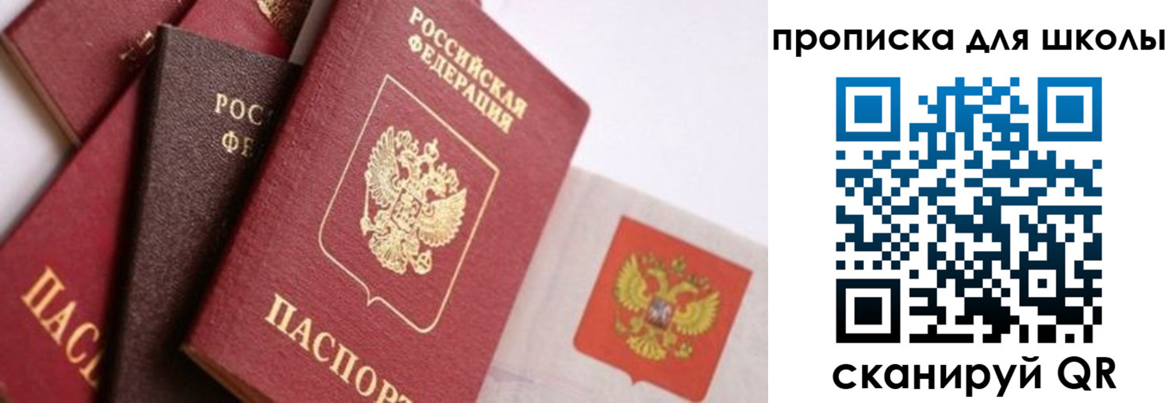прописка поиск в Мариинском Посаде